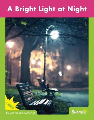 Book cover for A Bright Light at Night