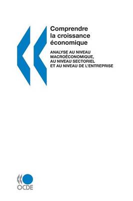 Book cover for Comprendre La Croissance Economique