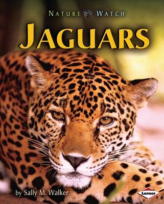 Book cover for Jaguars