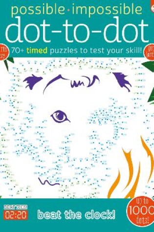 Cover of Possible Impossible Dot-to-Dot