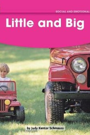 Cover of Little and Big Leveled Text