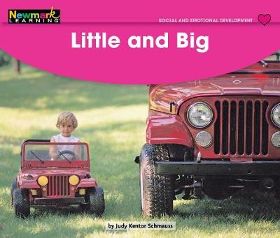 Book cover for Little and Big Leveled Text
