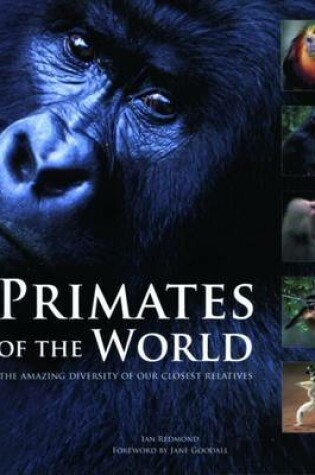 Cover of Primates of the World