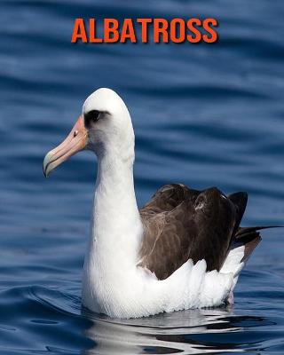 Book cover for Albatross