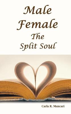 Book cover for Male Female