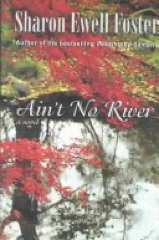 Cover of Aint No River