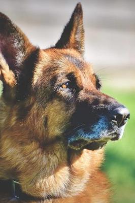 Book cover for Noble German Shepherd Dog Journal