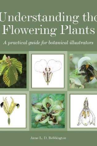 Cover of Understanding the Flowering Plants