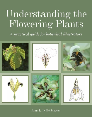 Book cover for Understanding the Flowering Plants