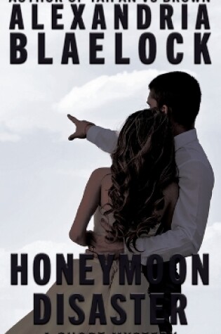 Cover of Honeymoon Disaster