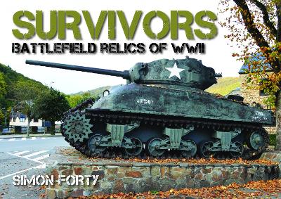 Book cover for Survivors: Battlefield Relics of WWII