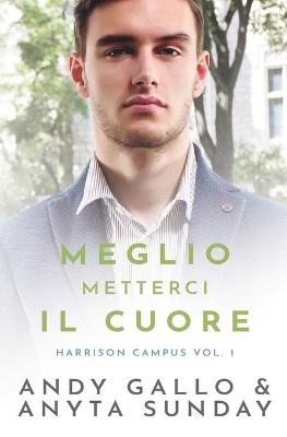 Book cover for Meglio metterci il cuore