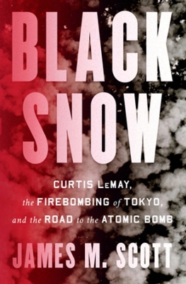 Book cover for Black Snow