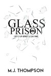 Book cover for Glass Prison