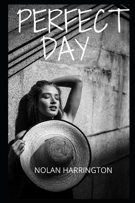 Book cover for Perfect day