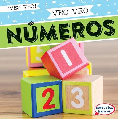 Book cover for Veo Veo Números (I Spy Numbers)
