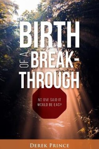 Cover of Birth of a Breakthrough