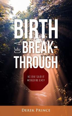 Book cover for Birth of a Breakthrough
