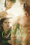 Book cover for The Plot Bunny