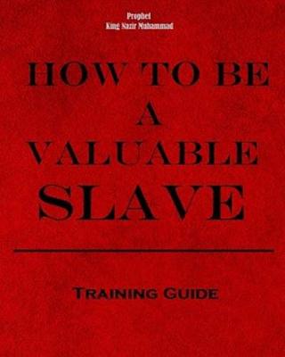 Book cover for How To Be A Valuable Slave