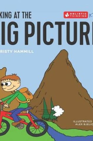Cover of Looking at the Big Picture