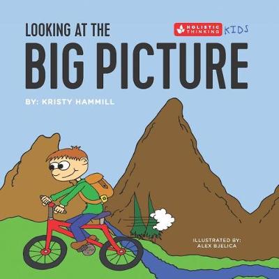 Book cover for Looking at the Big Picture