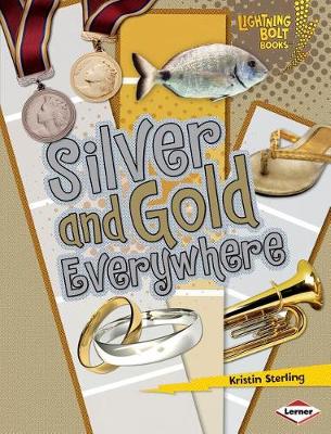 Book cover for Silver and Gold Everywhere