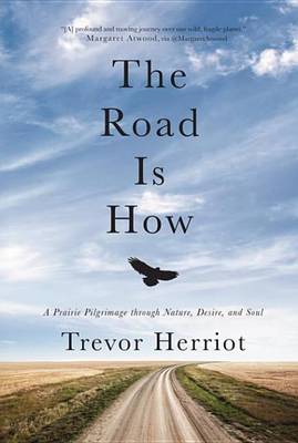 Book cover for The Road Is How