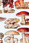 Book cover for Journaling Notebook (Mushrooms Version 1, 8.5" x 11" Edition)