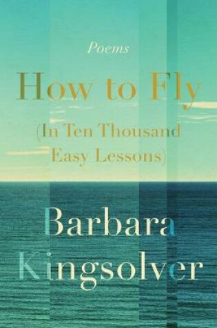 Cover of How to Fly (in Ten Thousand Easy Lessons)