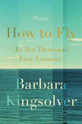 Book cover for How to Fly (in Ten Thousand Easy Lessons)
