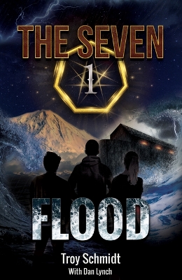 Book cover for Flood