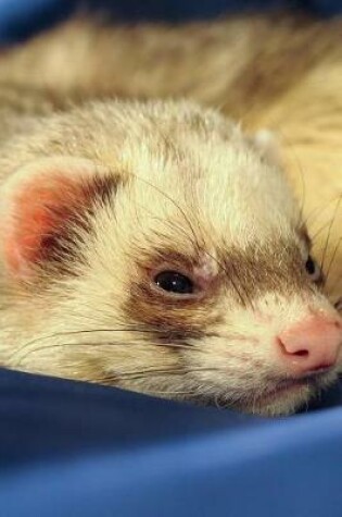 Cover of Cute Sleepy Ferret Portrait Journal