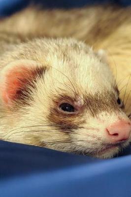 Book cover for Cute Sleepy Ferret Portrait Journal