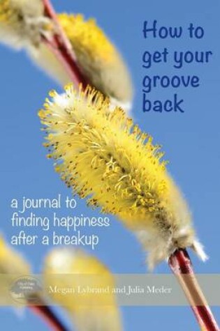 Cover of How to get your groove back