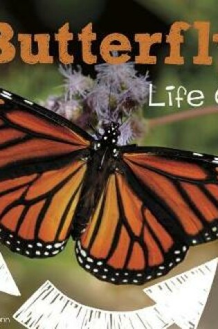 Cover of A Butterflys Life Cycle (Explore Life Cycles)