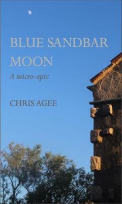 Book cover for Blue Sandbar Moon