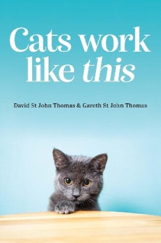 Cover of Cats Work Like This