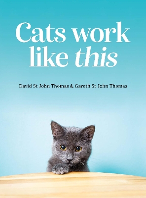 Cover of Cats Work Like This