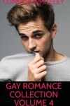 Book cover for Gay Romance Collection Volume 4