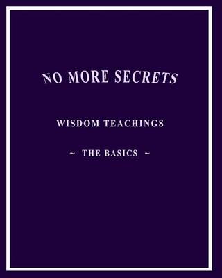 Book cover for No More Secrets