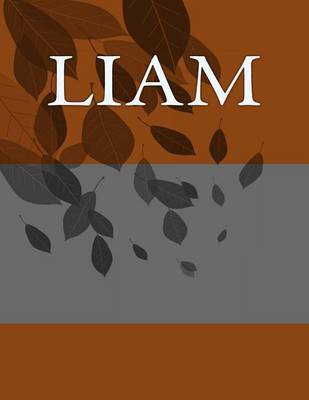 Book cover for Liam