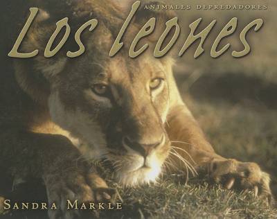 Book cover for Los Leones