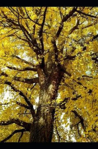 Cover of Ginkgo Biloba Tree with Brilliant Yellow Leaves Journal