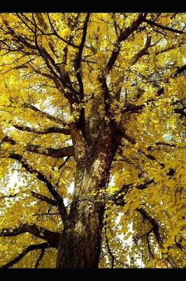 Book cover for Ginkgo Biloba Tree with Brilliant Yellow Leaves Journal