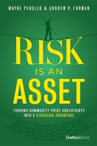 Cover of Risk Is An Asset