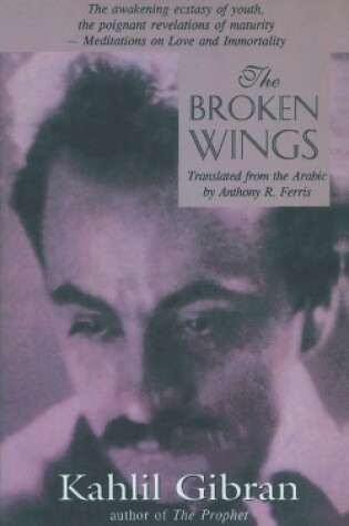 Cover of The Broken Wings