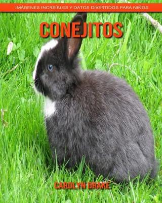 Book cover for Conejitos