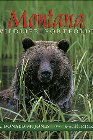 Cover of Montana Wildlife Portfolio