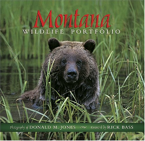 Book cover for Montana Wildlife Portfolio